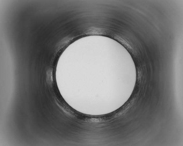 X0000116420302200912081205