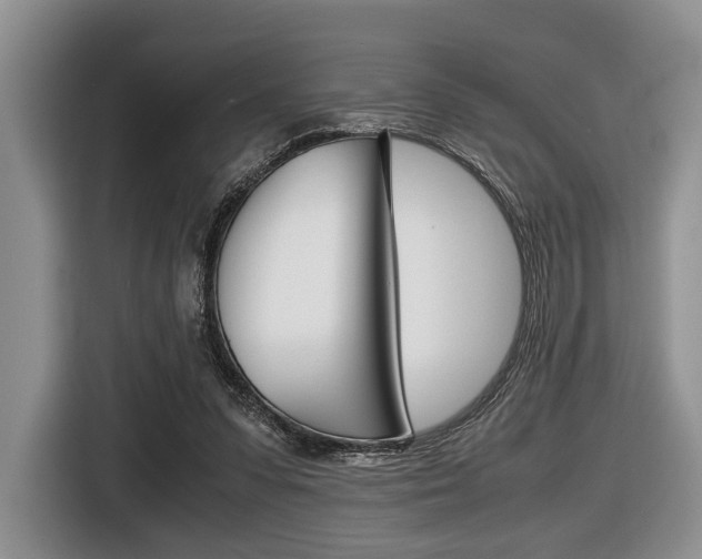 X0000116420303200912081205