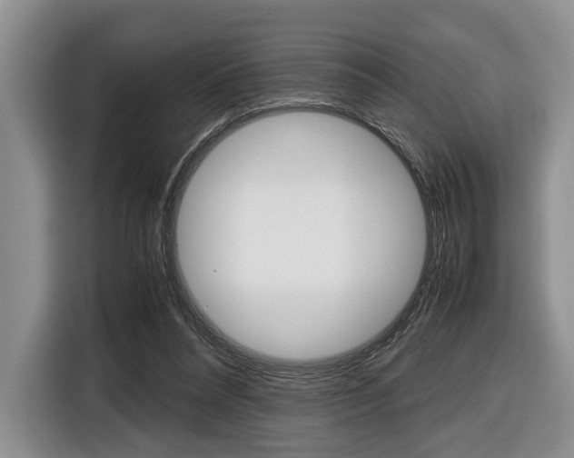 X0000116420304200912081205