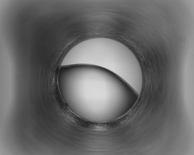 X0000116420308200912081205