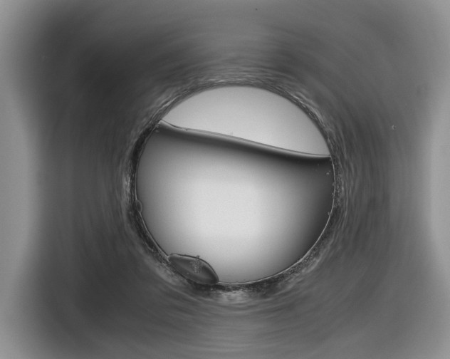 X0000116420309200912081205