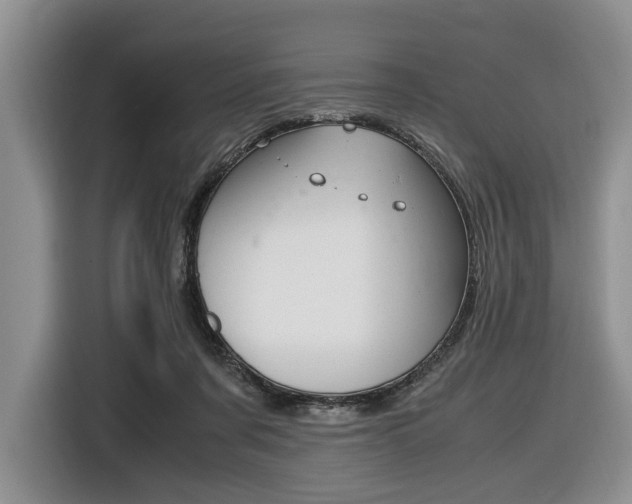 X0000116420311200912081205