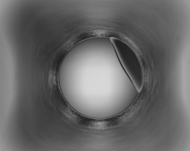X0000116420313200912081205