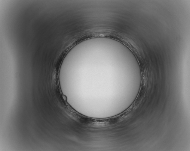 X0000116420314200912081205