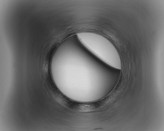 X0000116420315200912081205