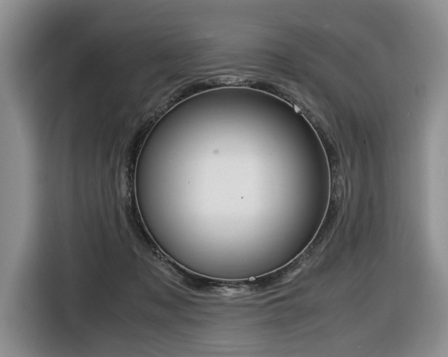 X0000116420317200912081205