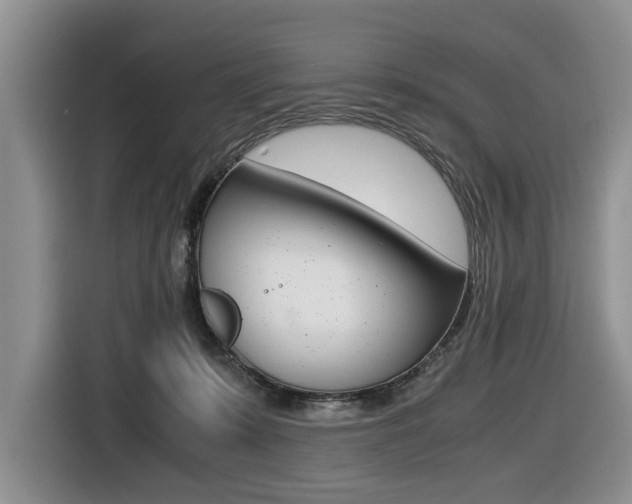 X0000116420319200912081205