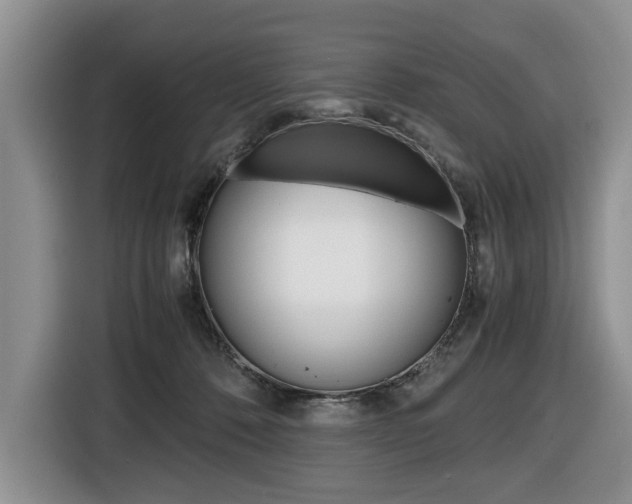 X0000116420320200912081205