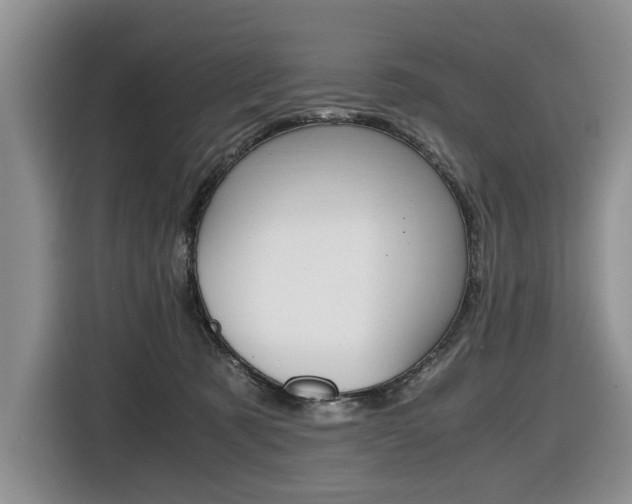 X0000116420321200912081205