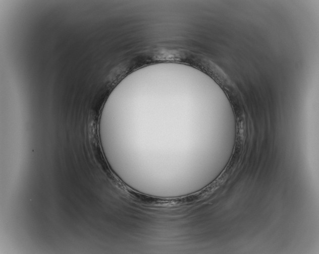 X0000116420322200912081205