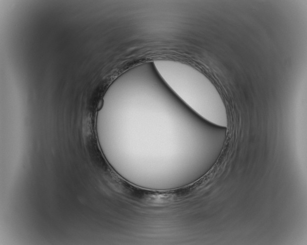 X0000116420323200912081205