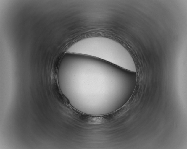 X0000116420324200912081205
