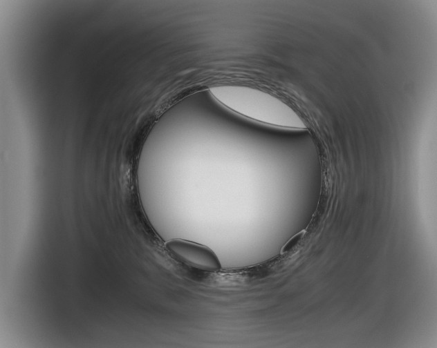 X0000116420327200912081205