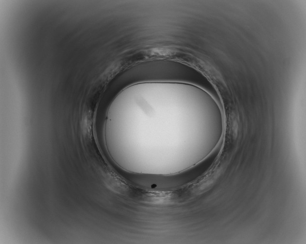 X0000116420328200912081205