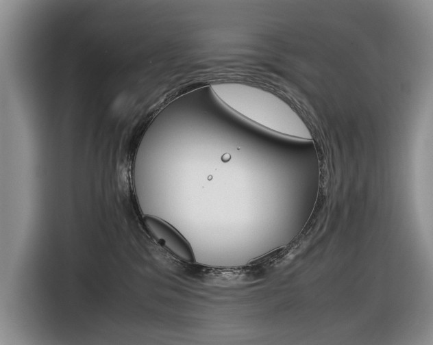 X0000116420329200912081205