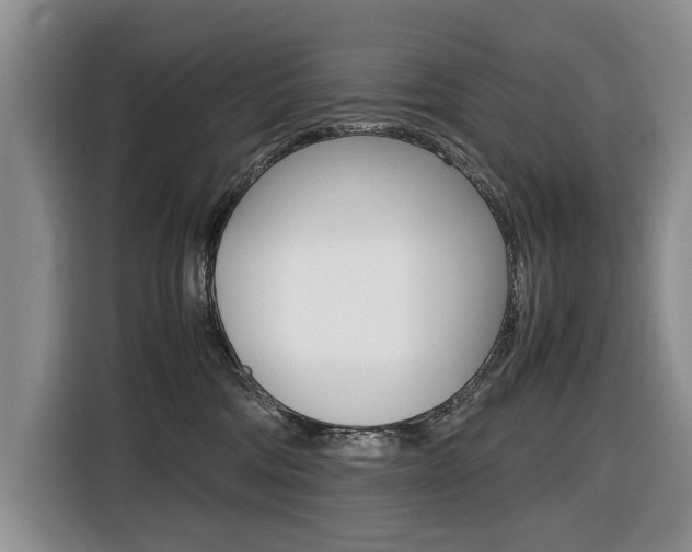 X0000116420330200912081205