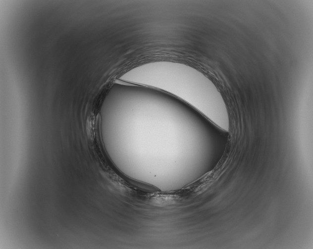 X0000116420332200912081205