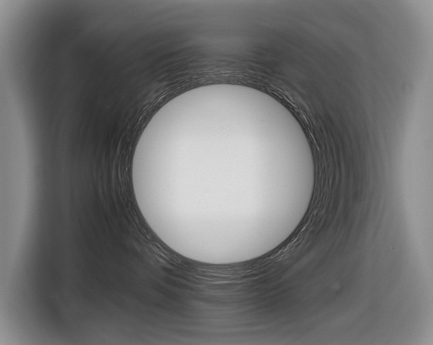 X0000116420336200912081205