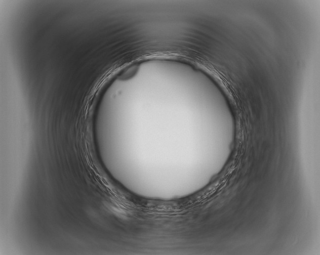 X0000116420337200912081204