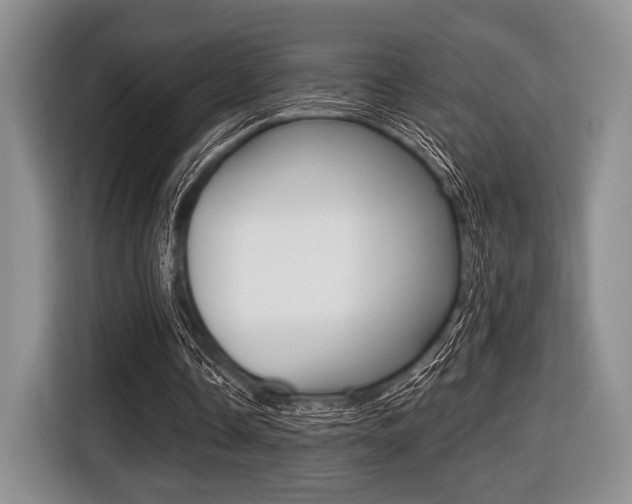 X0000116420338200912081204