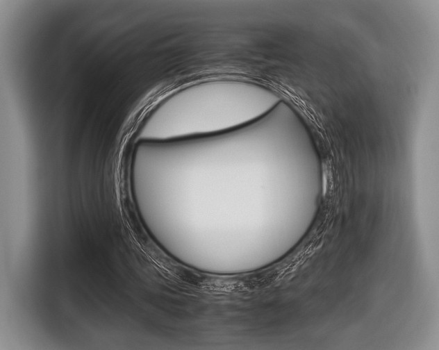 X0000116420339200912081204
