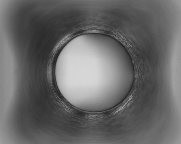 X0000116420341200912081204