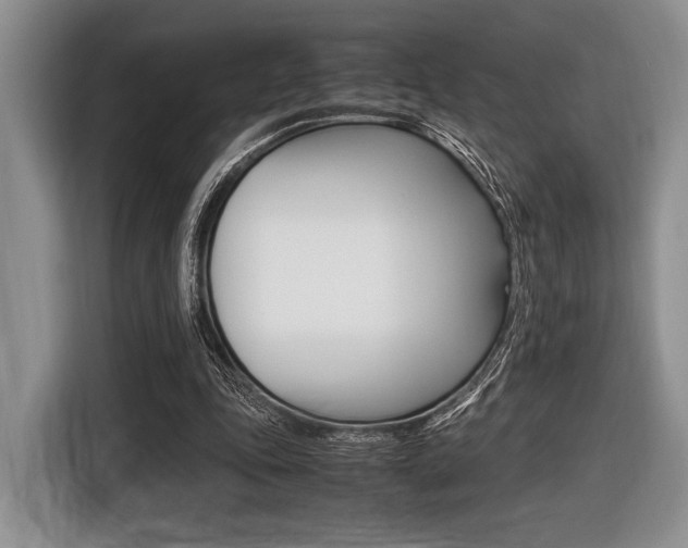 X0000116420343200912081204
