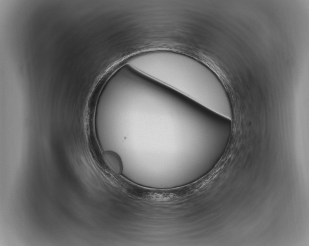 X0000116420346200912081204