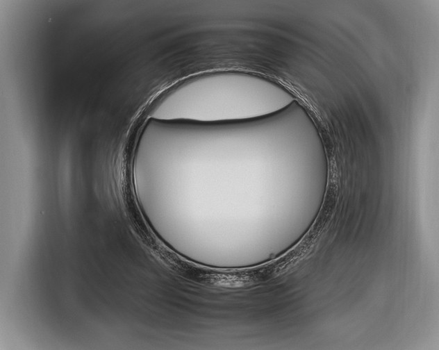 X0000116420347200912081204