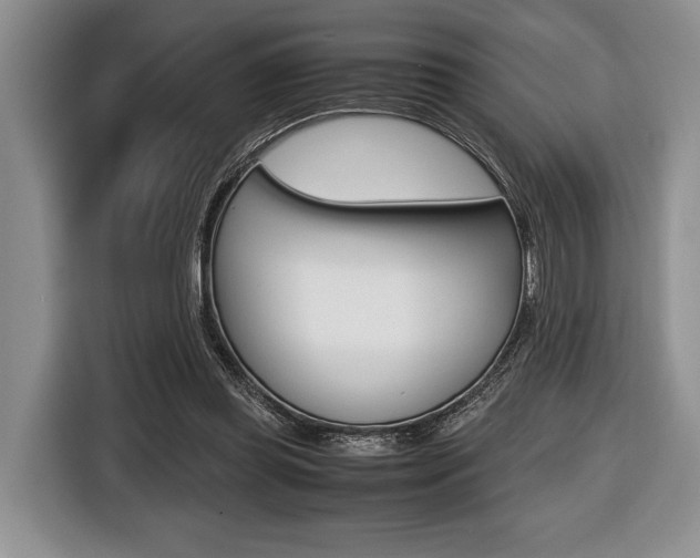 X0000116420349200912081205