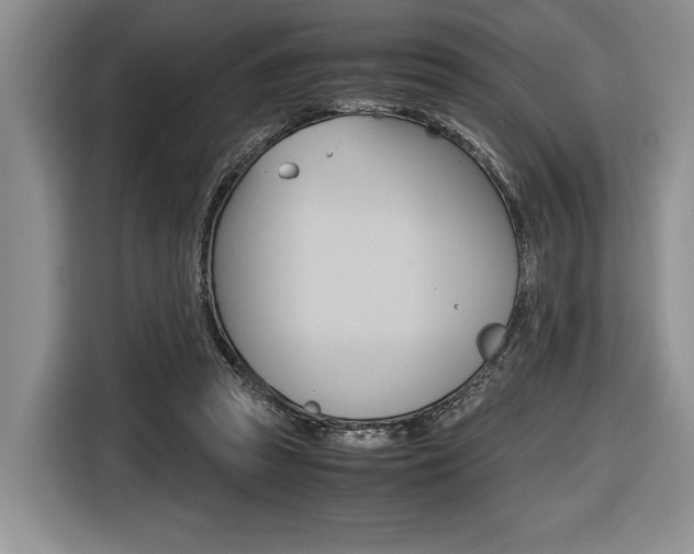 X0000116420353200912081205