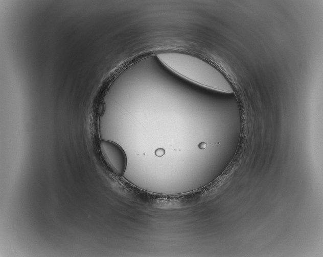 X0000116420354200912081205