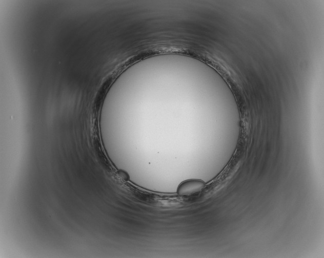 X0000116420359200912081205