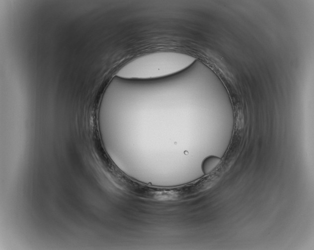 X0000116420363200912081205