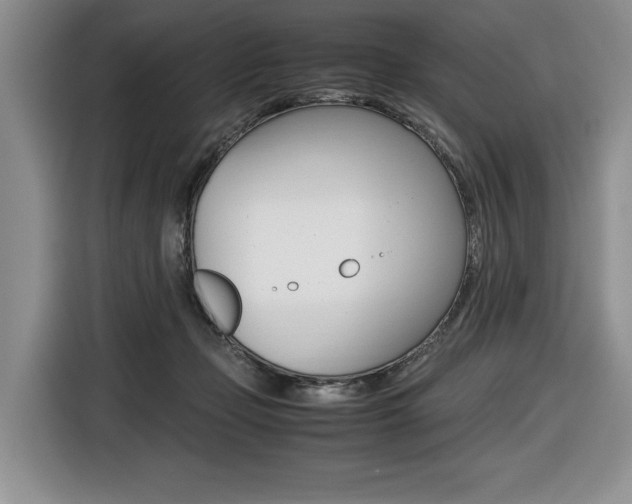 X0000116420365200912081205