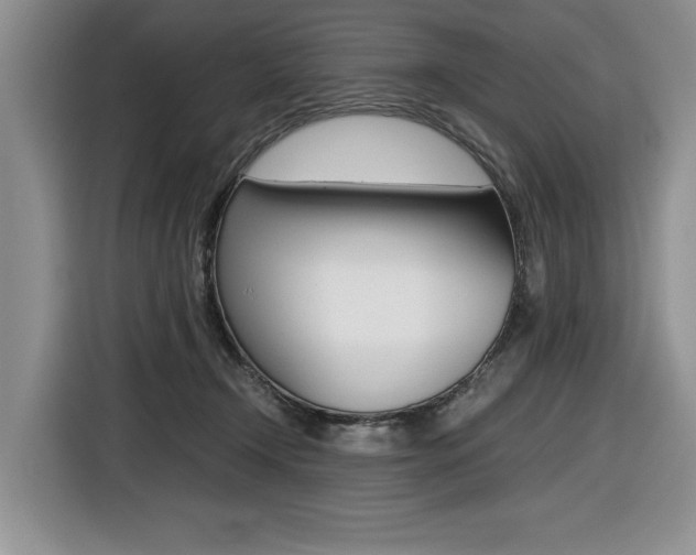 X0000116420366200912081205