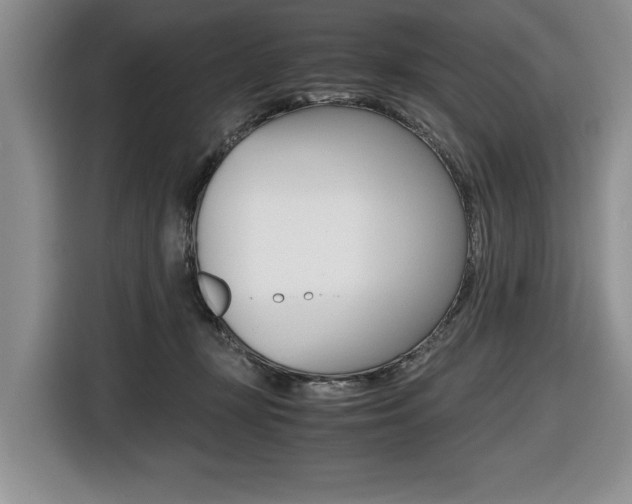 X0000116420367200912081205