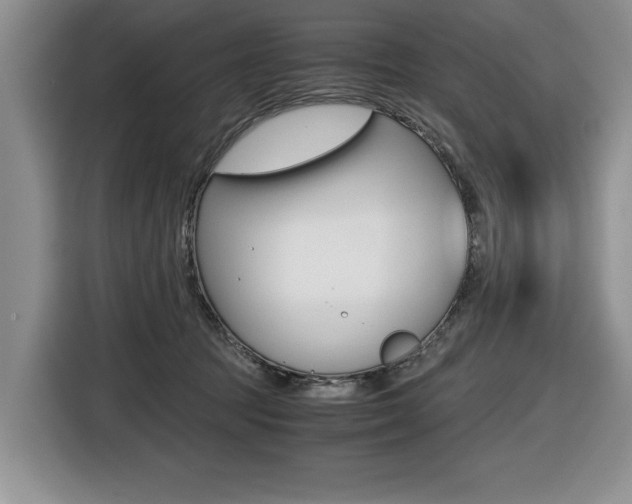 X0000116420369200912081205