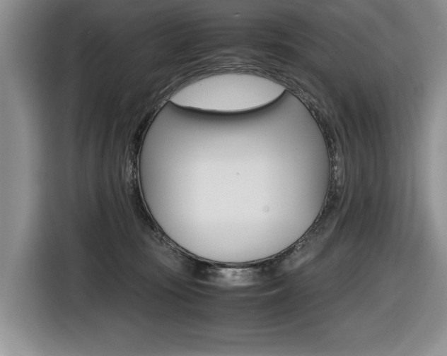 X0000116420371200912081205