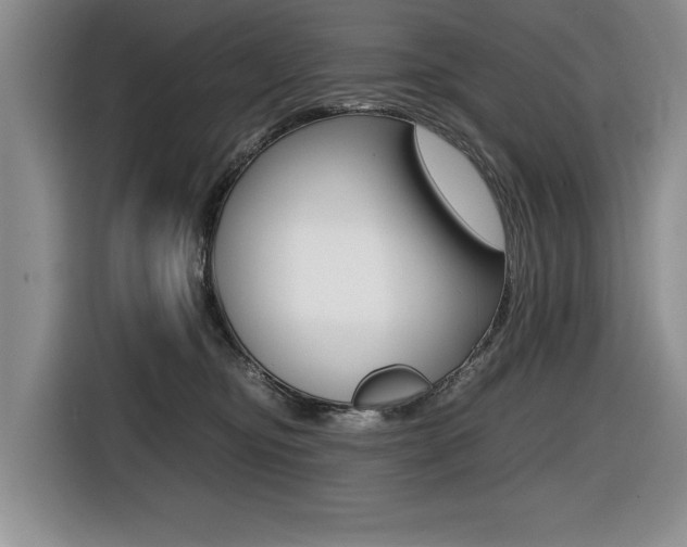 X0000116420374200912081205