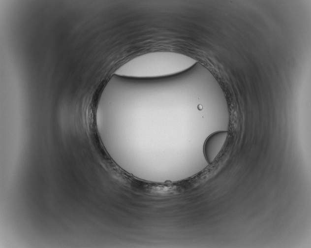 X0000116420375200912081205