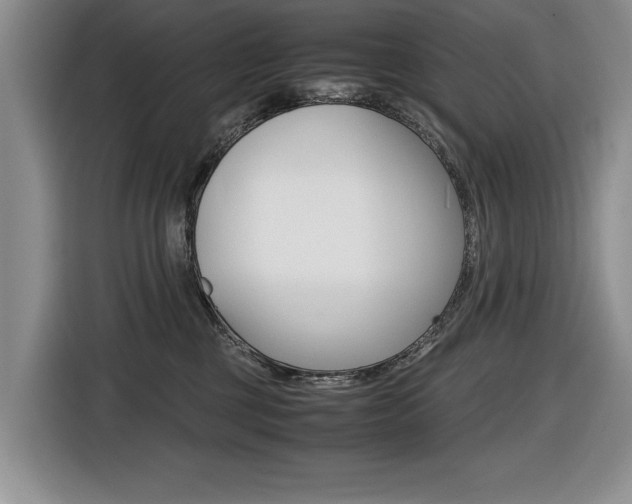 X0000116420377200912081205