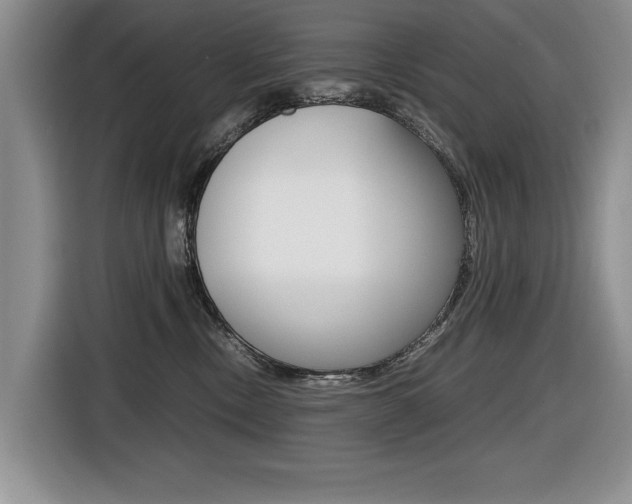 X0000116420378200912081205