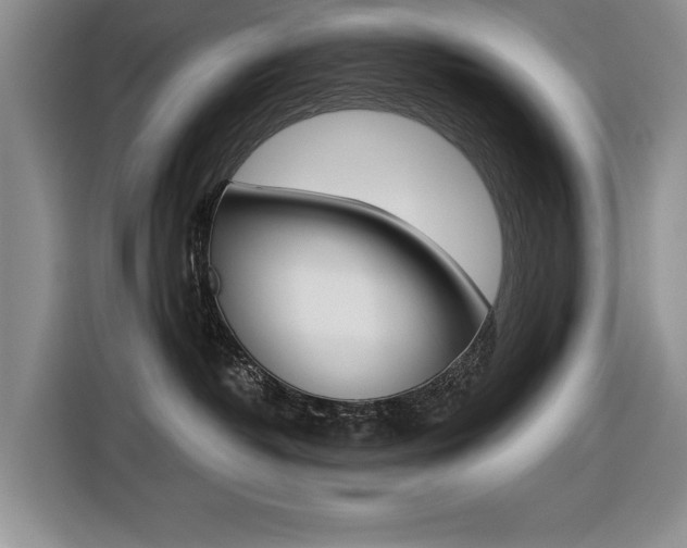 X0000116420382200912081205