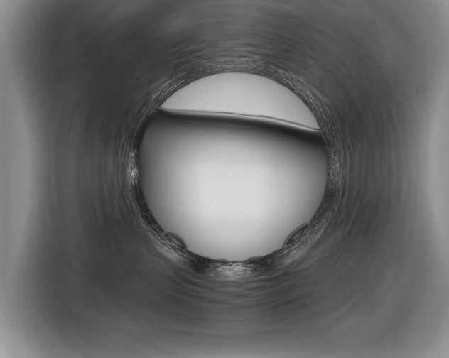 X0000116420383200912081205