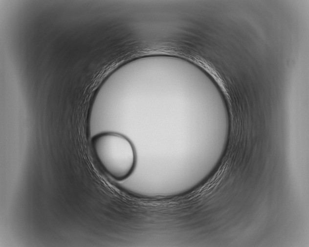 X0000116420385200912081204