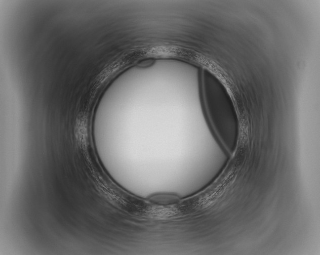 X0000116420386200912081204