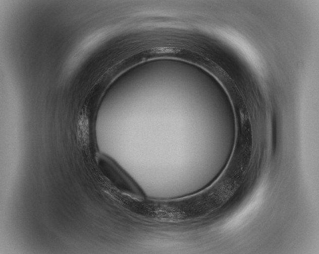 X0000116420387200912081204