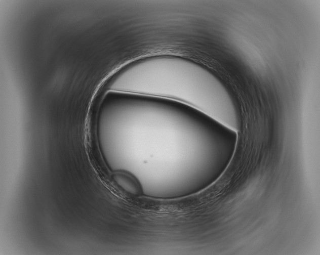 X0000116420388200912081204
