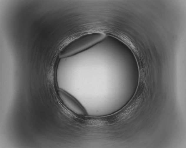 X0000116420389200912081204